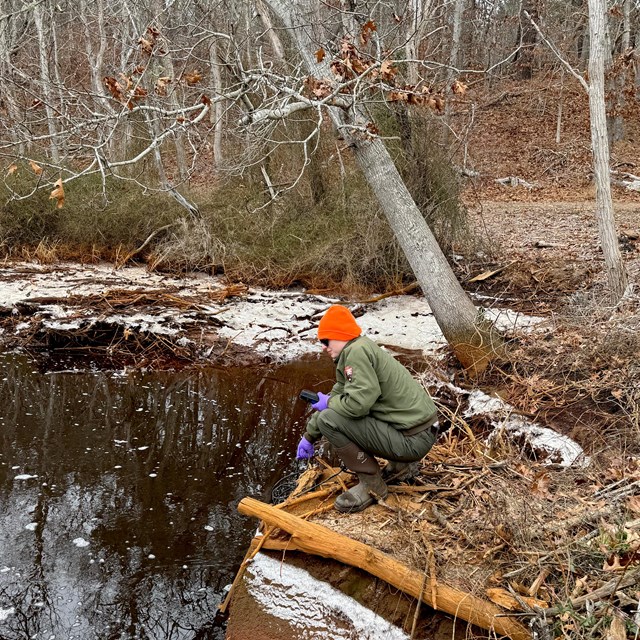A scientists bends over the edge of a pond to collect a water sample.