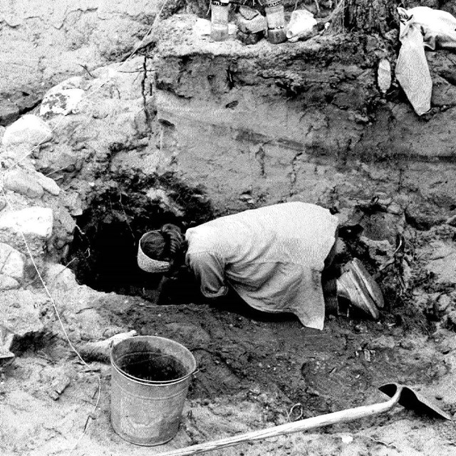 Woman leans into a hole in dirt ground surrounded by shovels and other excavation tools.