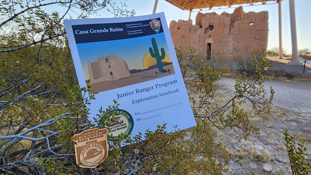 A Junior Ranger Badge and Book in creosote with a large adobe structure in the background. 