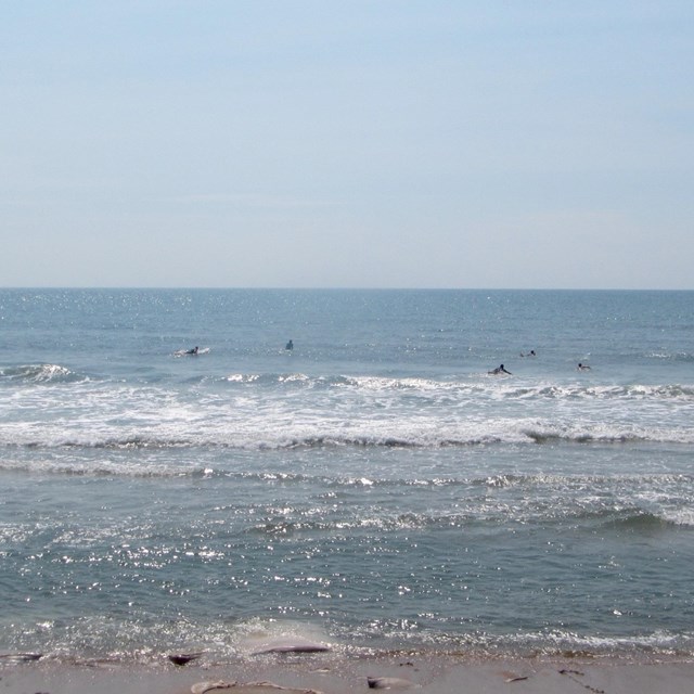 Surfers and swimmers in the ocean