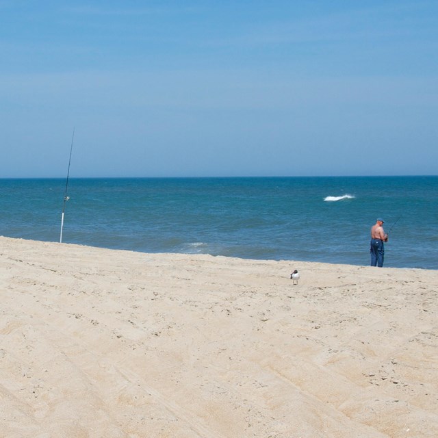 Fisherman on beach with ORV