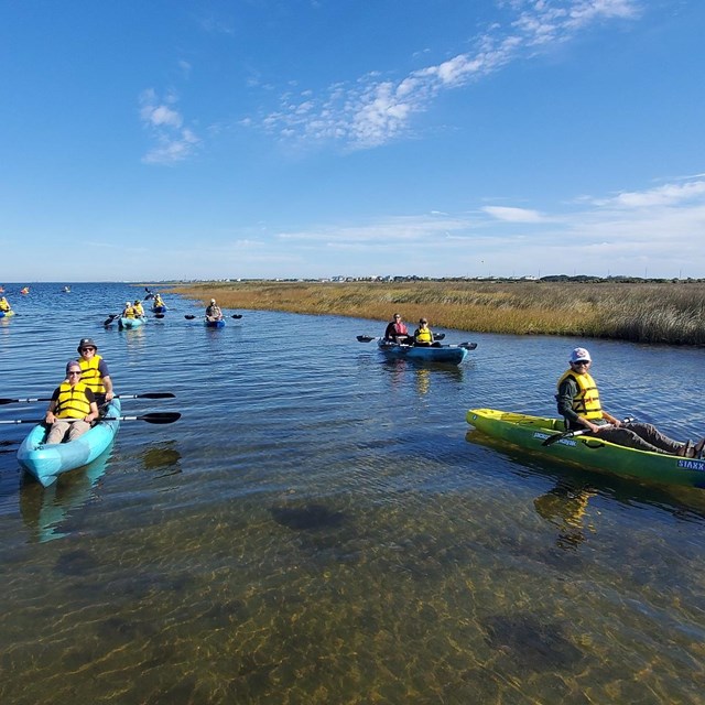 multiple kayaks in the water with the marsh in the background
