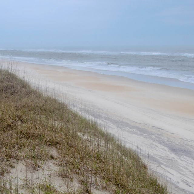 Seashore on an overcast day