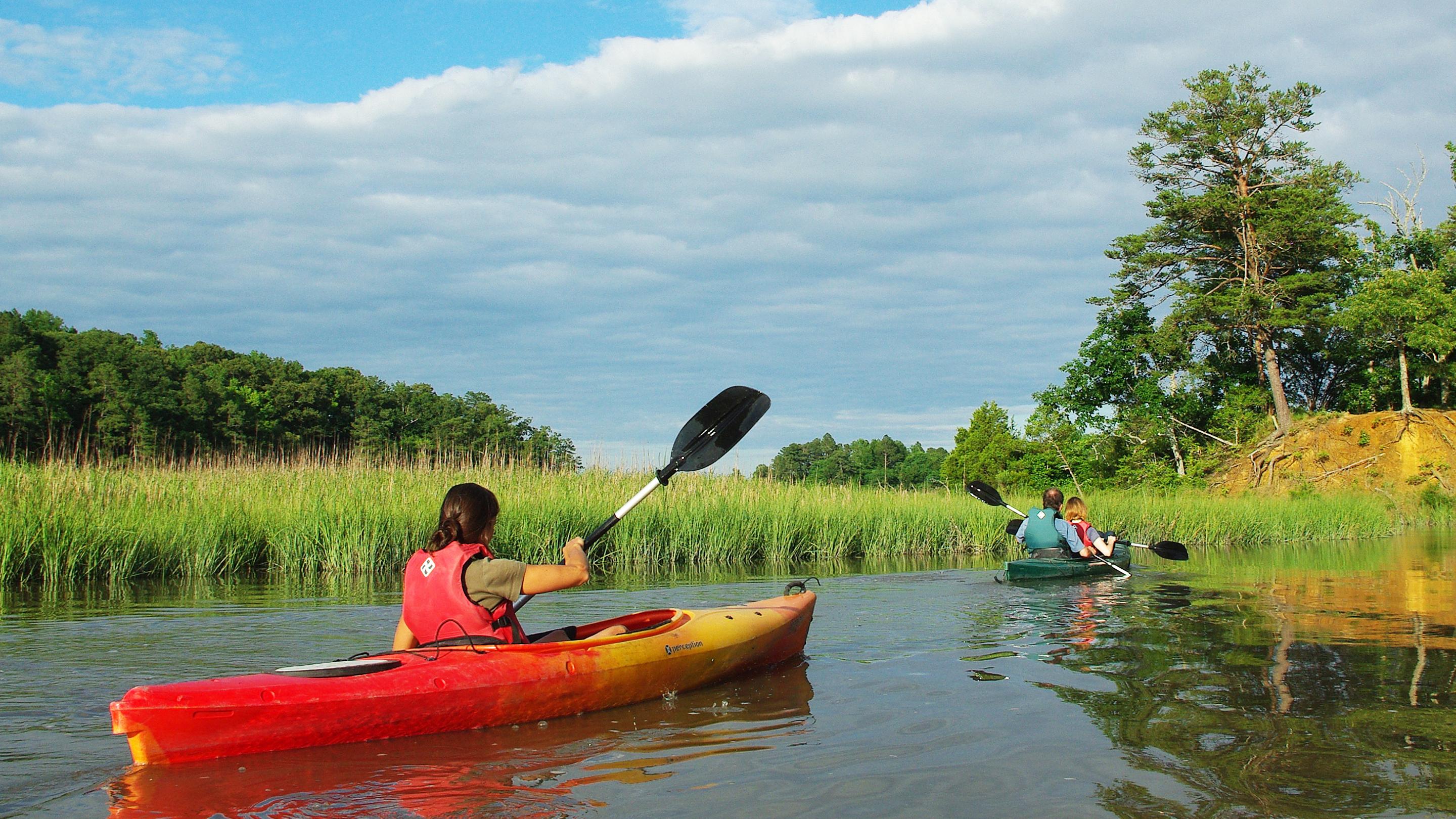 A rack of canoes with a marsh landscape behind. 