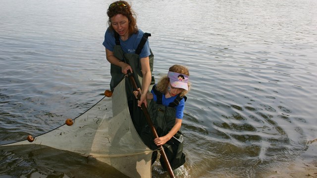 A mother and child use a seining yet on a shore. 