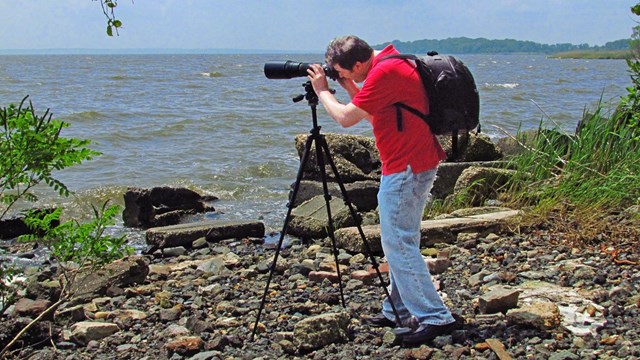 A photographer with a tripod on a rocky beach overlooking the Bay. 
