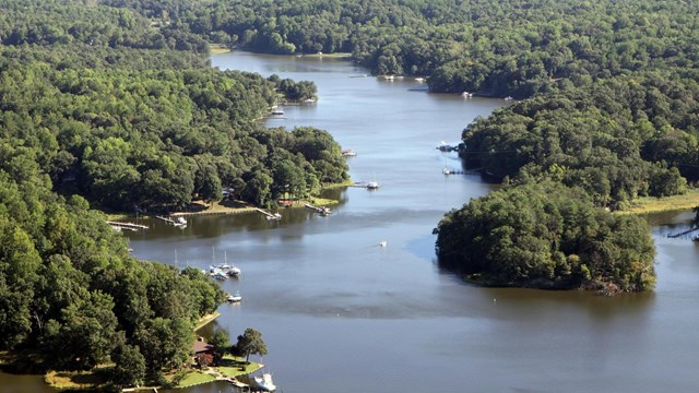 Aerial view of a creek surrounded by forest and with piers. 