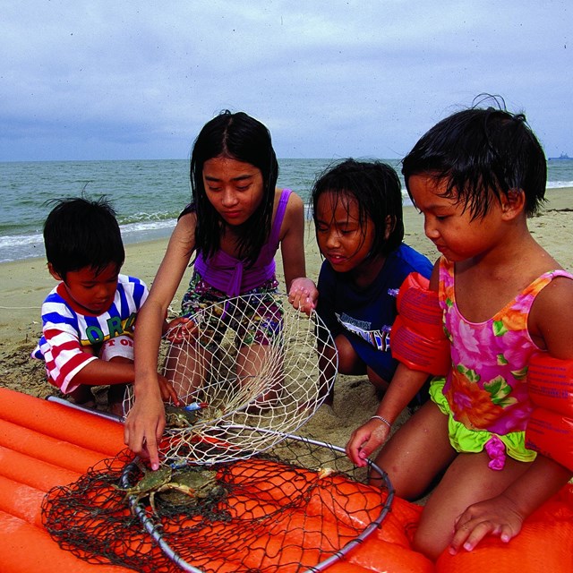 A group of kids at the beach examine a crab they caught in a net. 