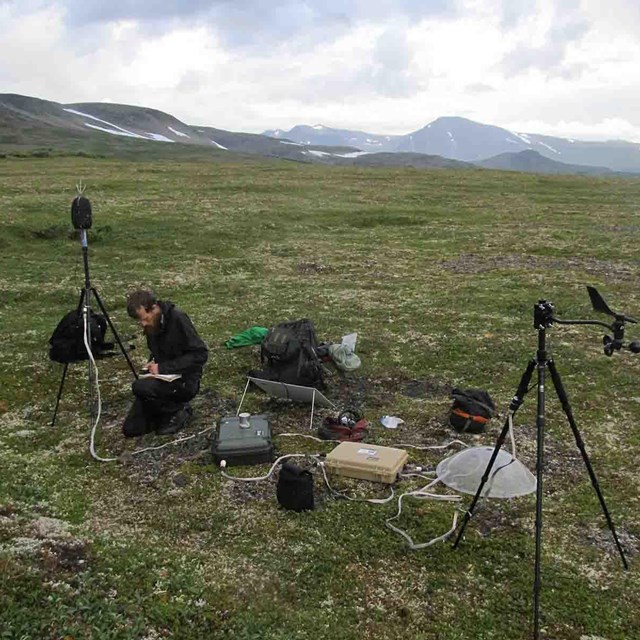 A researcher sets up sound recording equipment.