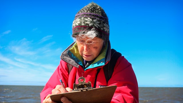 Volunteer in Parks Researcher in red coat collecting seabird data