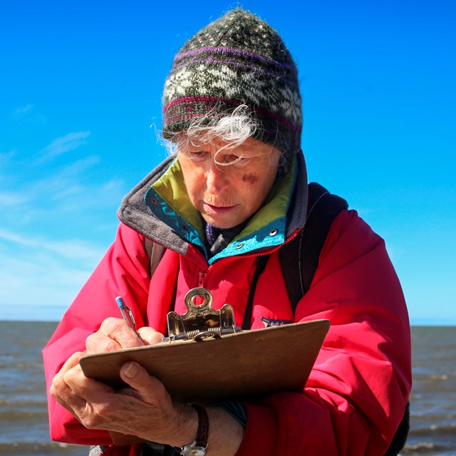 Volunteer in Parks Researcher in red coat collecting seabird data