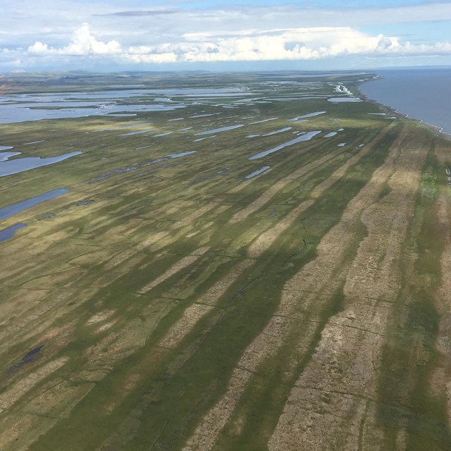 Lines of green and tan in the tundra are an easy way to identify the beach ridges from the air