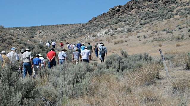 A group of people walk down a trail in the desert scrub.