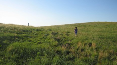 A person walks up a hill covered with grass, with obvious ruts.