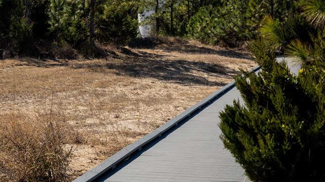 A boardwalk leading to Cape Lookout Lighthouse surrounded by trees. 
