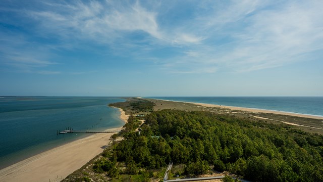 Ariel view of seashore with sand, trees, and a blue sky with clouds. 