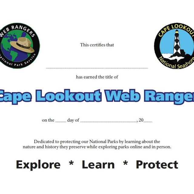 Web Ranger completion certificate.