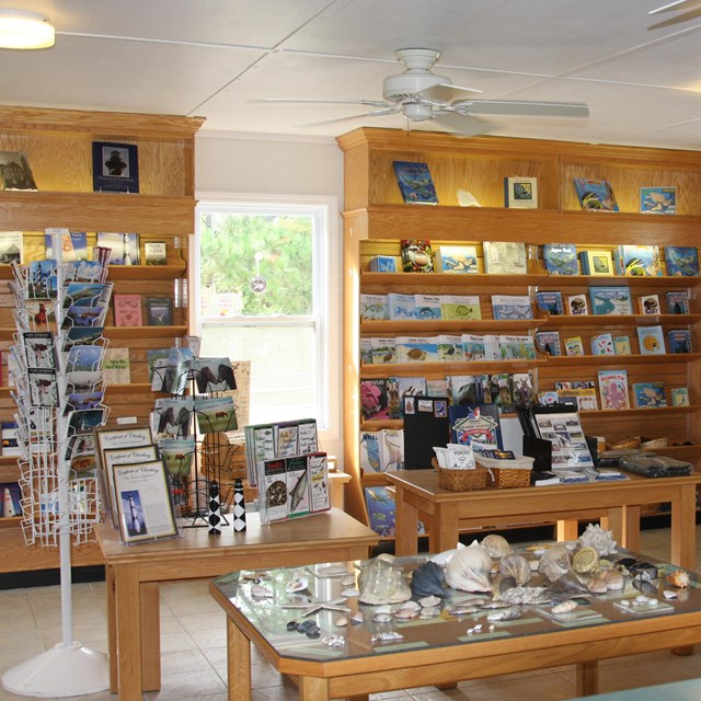 Bookshelves with books, t shirts, and other Cape Lookout gift items. 