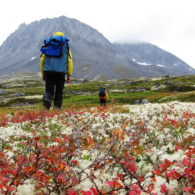 Two backpackers hike through colorful vegetation with mountains in the background