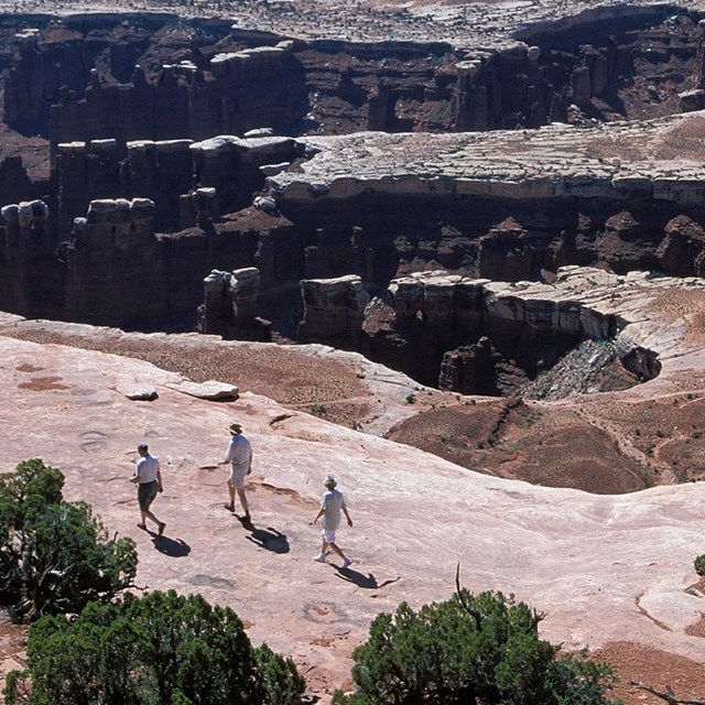 three people walk along a canyon rim