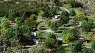 View of campground in a green, tree-filled landscape. 