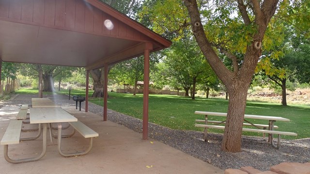 Pavilion, picnic table, tree, and green grassy campsite. 