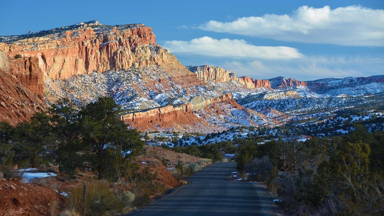 Blacktop road through red cliffs, with trees and blue skies.