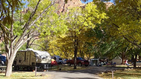 RVs, tents, cars, and vans in a green, shaded campground, with some fall colors. 