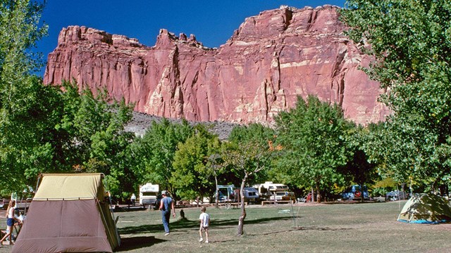 Fruita Campground with tents and RVs