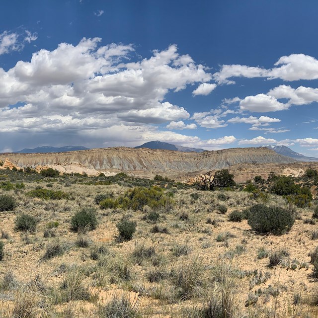 Blue sky over arid mountains with shrubs