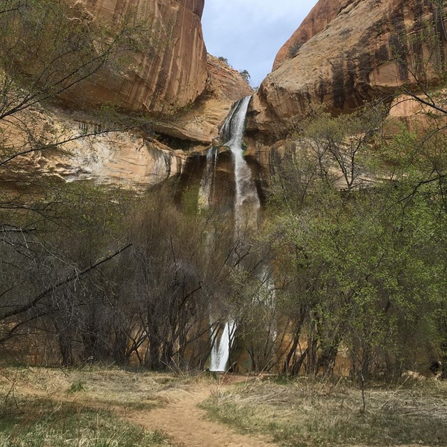 Tall waterfall between cliffs, with trail and trees in foreground. 