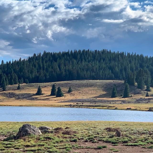 mountain lake, meadow, and dense evergreen trees, with dark clouds above. 