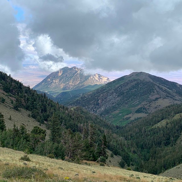 Green mountain trail and landscape, with clouds and small bit of blue sky above.  