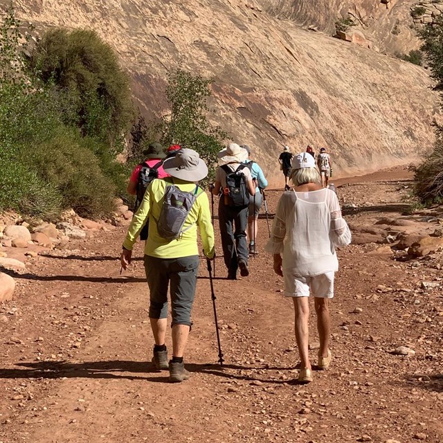 Group of hikers in a narrow canyon. 