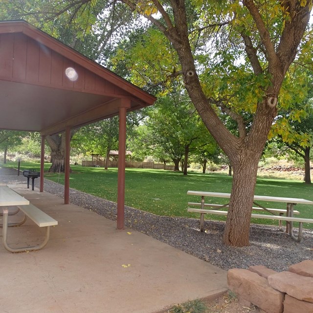 Pavilion, picnic table, tree, and green grassy campsite. 