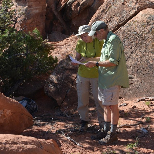 Two people look at a map by a tree and in front of large boulder. 