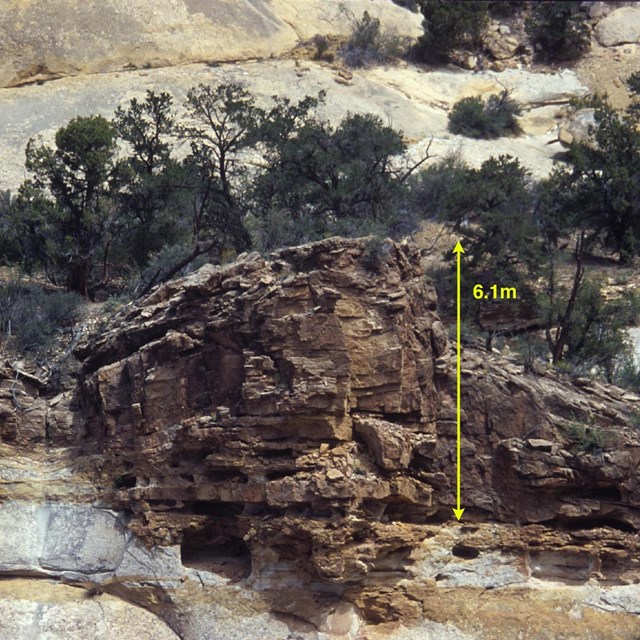 Large brown rock in cliff, with yellow arrow and some green vegetation. 