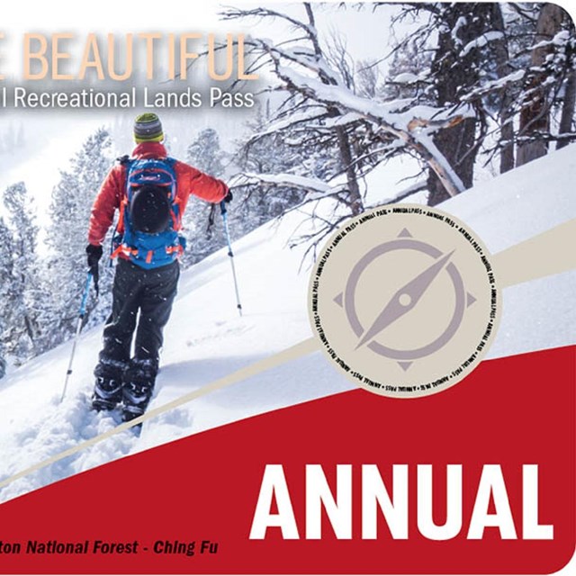 Annual America the Beautiful pass with skier on it. 