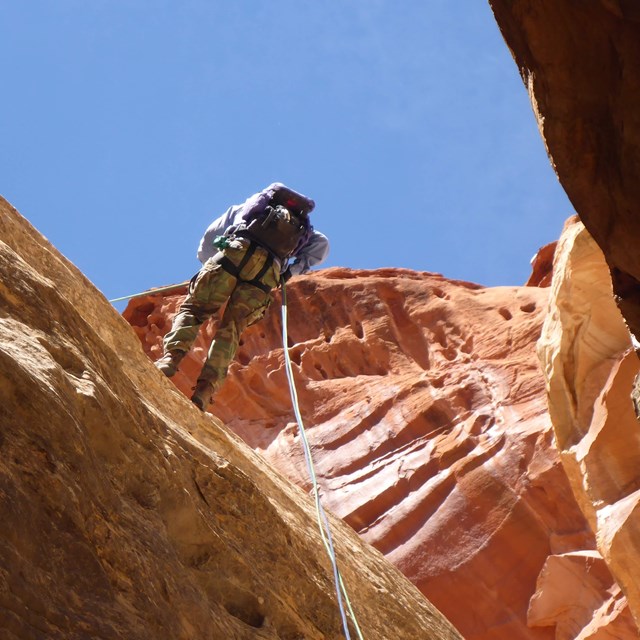 Person rapelling down redrock cliff wall with blue sky above.