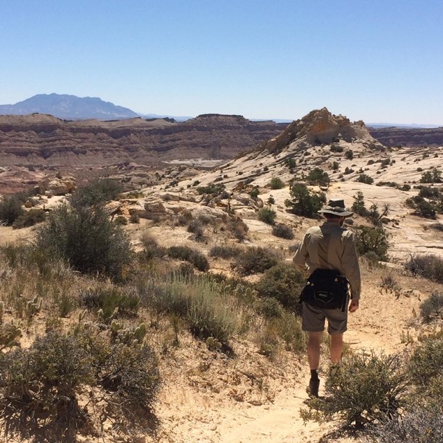 Hiker walking along a dirt trail, with desert and mountains views.