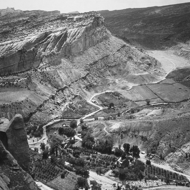 Black and white photo of canyon with orchards, cliffs, and a river. 