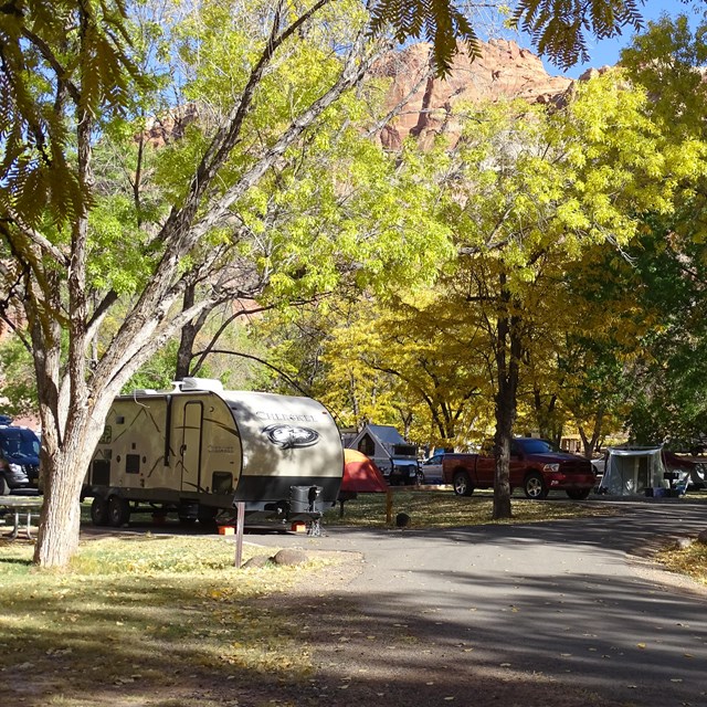 RVs, tents, cars, and vans in a green, shaded campground, with some fall colors. 
