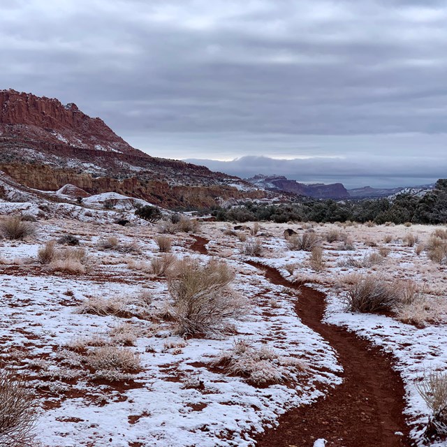 Two people playing guitars on a stage. 