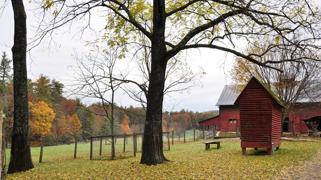 Red barns surrounded by golden leaves