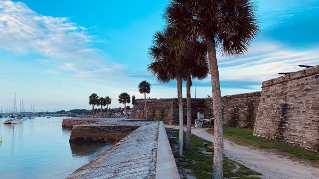 Seawall on east side of the fort. Wall, palm trees, water, and sail boats in background.