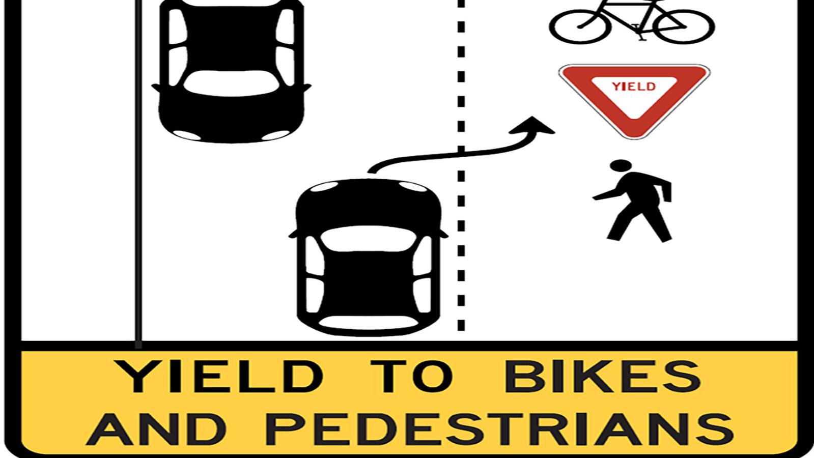 Bicycles on raod