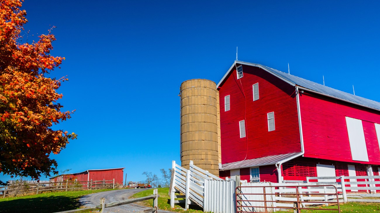 A bright red barn stands out against a blue autumn sky and a white rail fence.