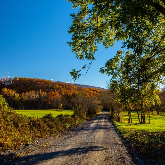Autumn foliage is visible on a hill from a gravel country road.