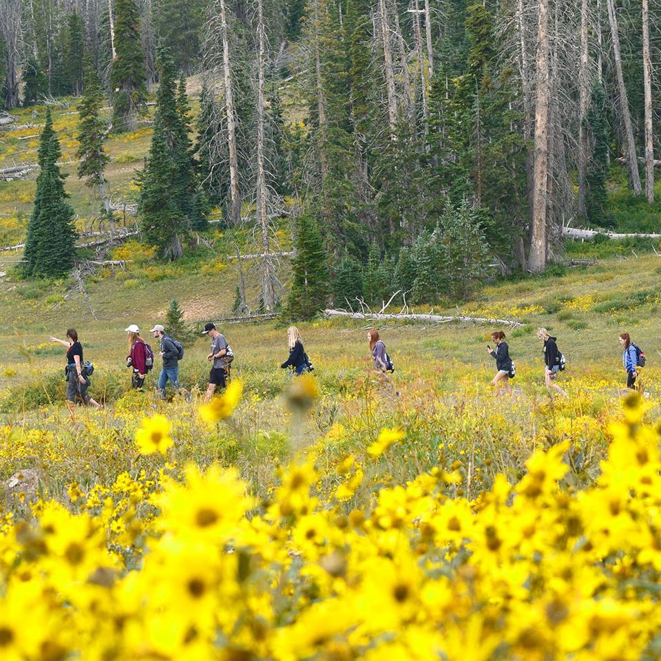 Students walking thru a meadow of wildflowers. 