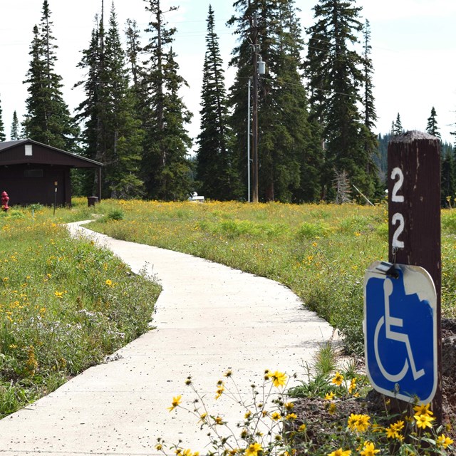 Wheelchair accessible sign by paved path leading to restroom. Yellow wildflowers on the perimeter. 